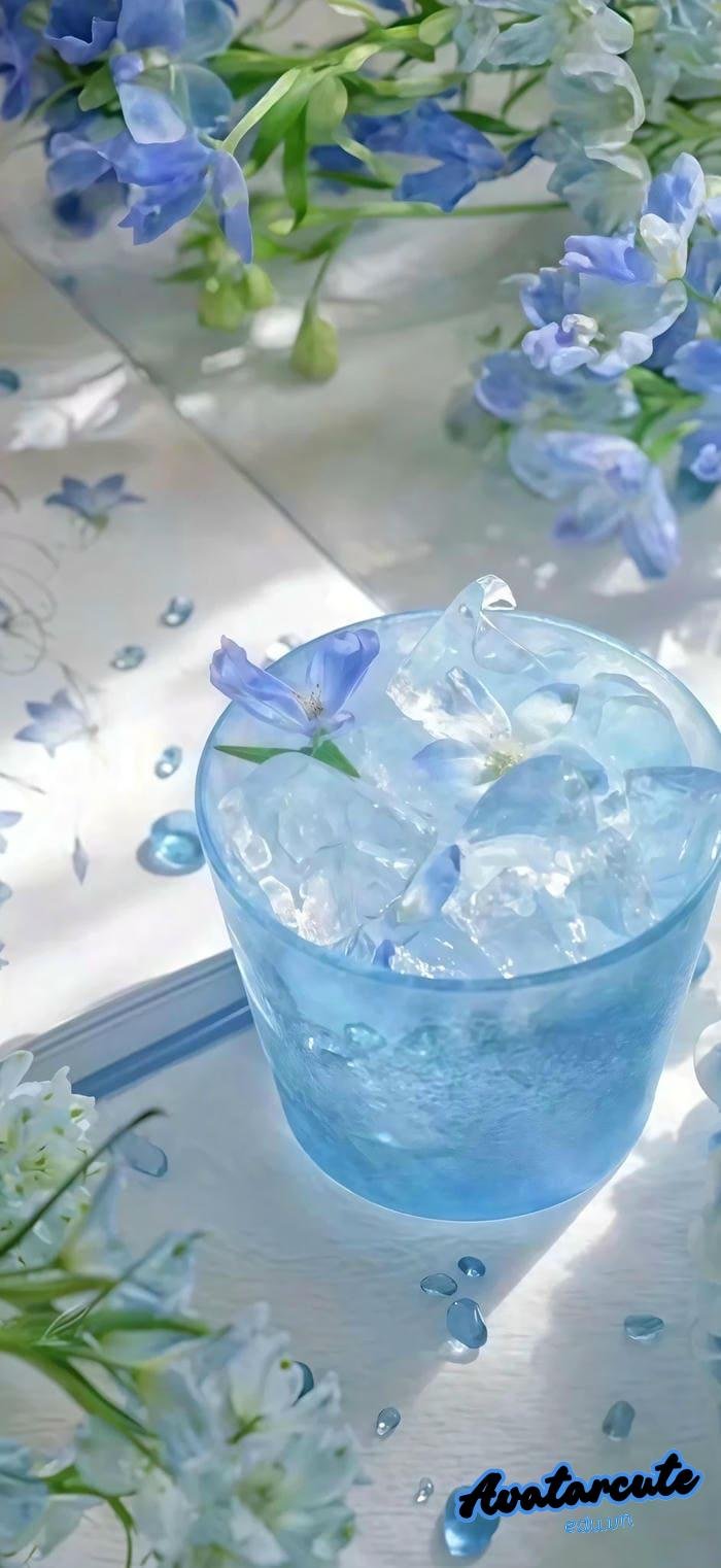 hình nền bông hoa chất lượng hd