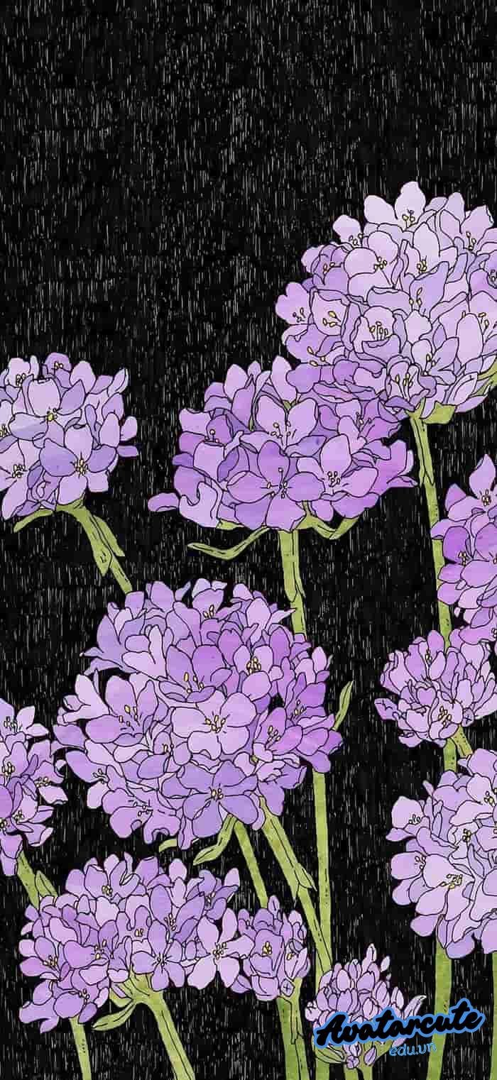 hình nền bông hoa đẹp