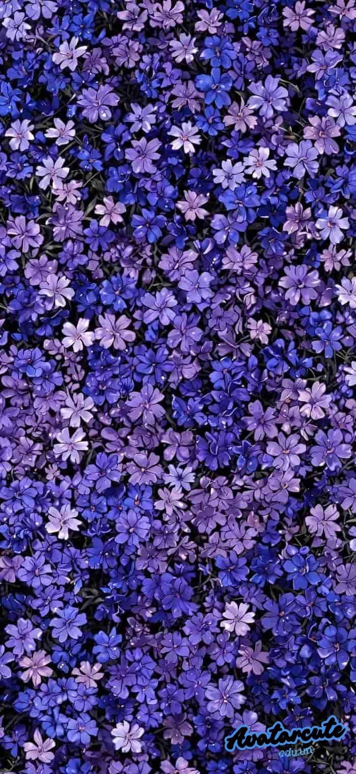 hình nền bông hoa nghệ thuật 4k