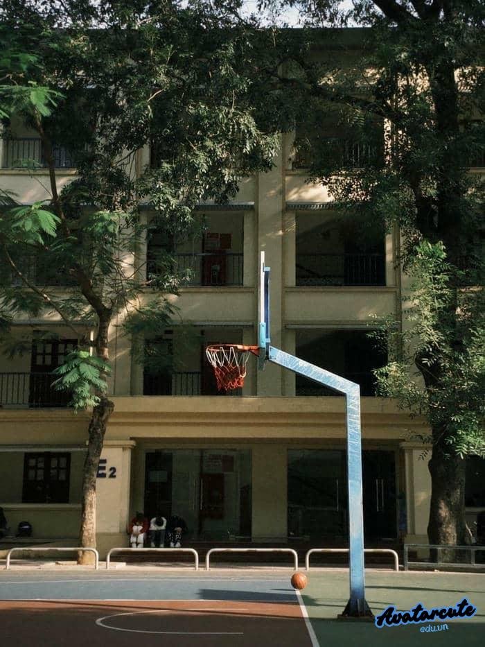 hình nền bóng rổ hd siêu nét