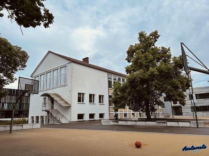 hình nền bóng rổ xuất sắc 4k