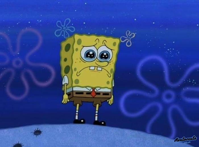 hình nền bọt biển hd siêu nét