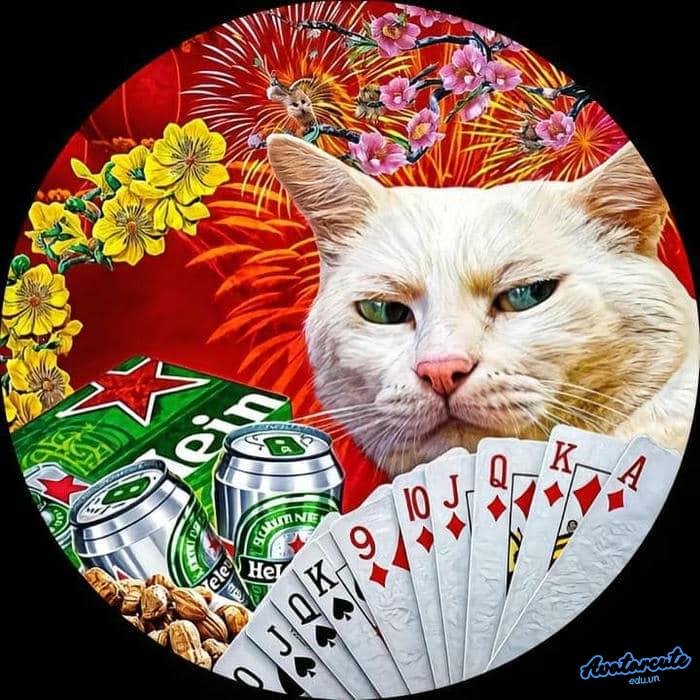 hình nền bựa hd siêu nét