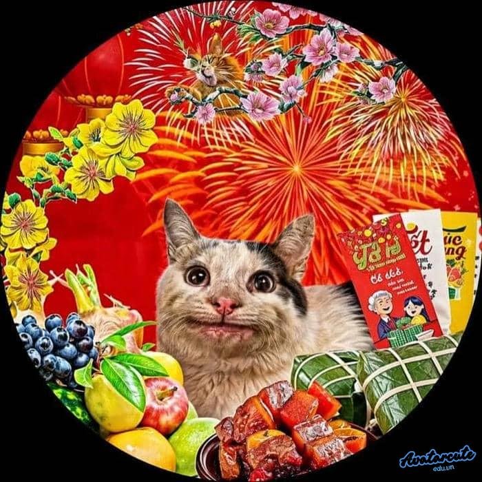 hình nền bựa hd