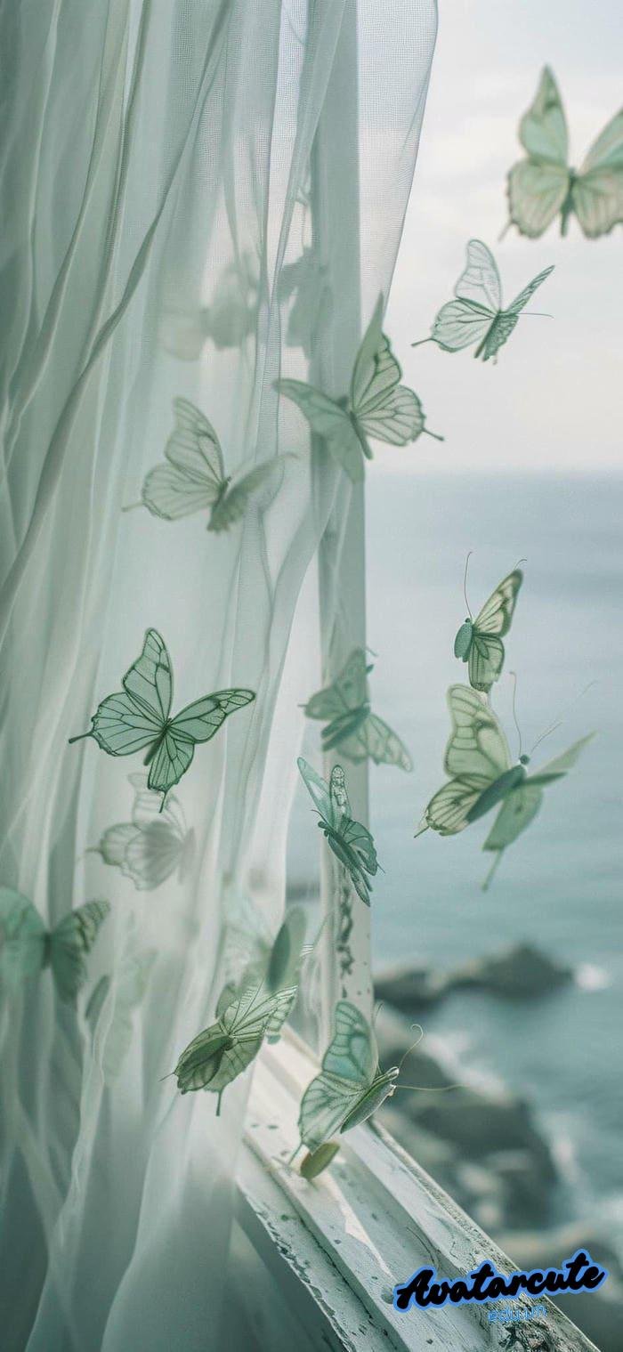 hình nền bướm cho máy tính 4k