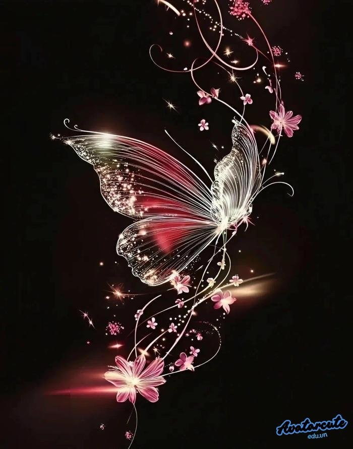 hình nền bướm cực nét 4k