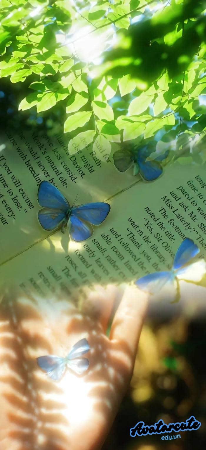 hình nền bướm cực nét full hd