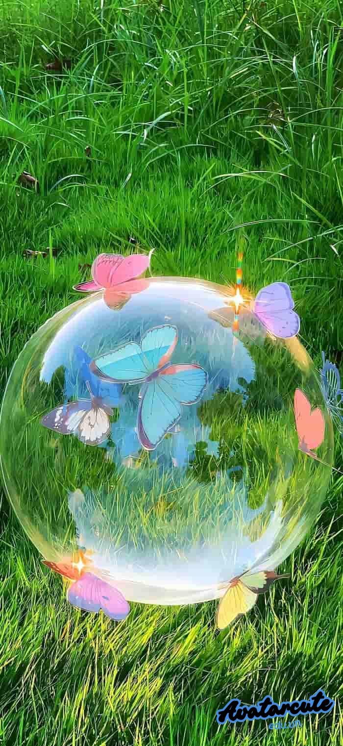 hình nền bướm đẹp 4k