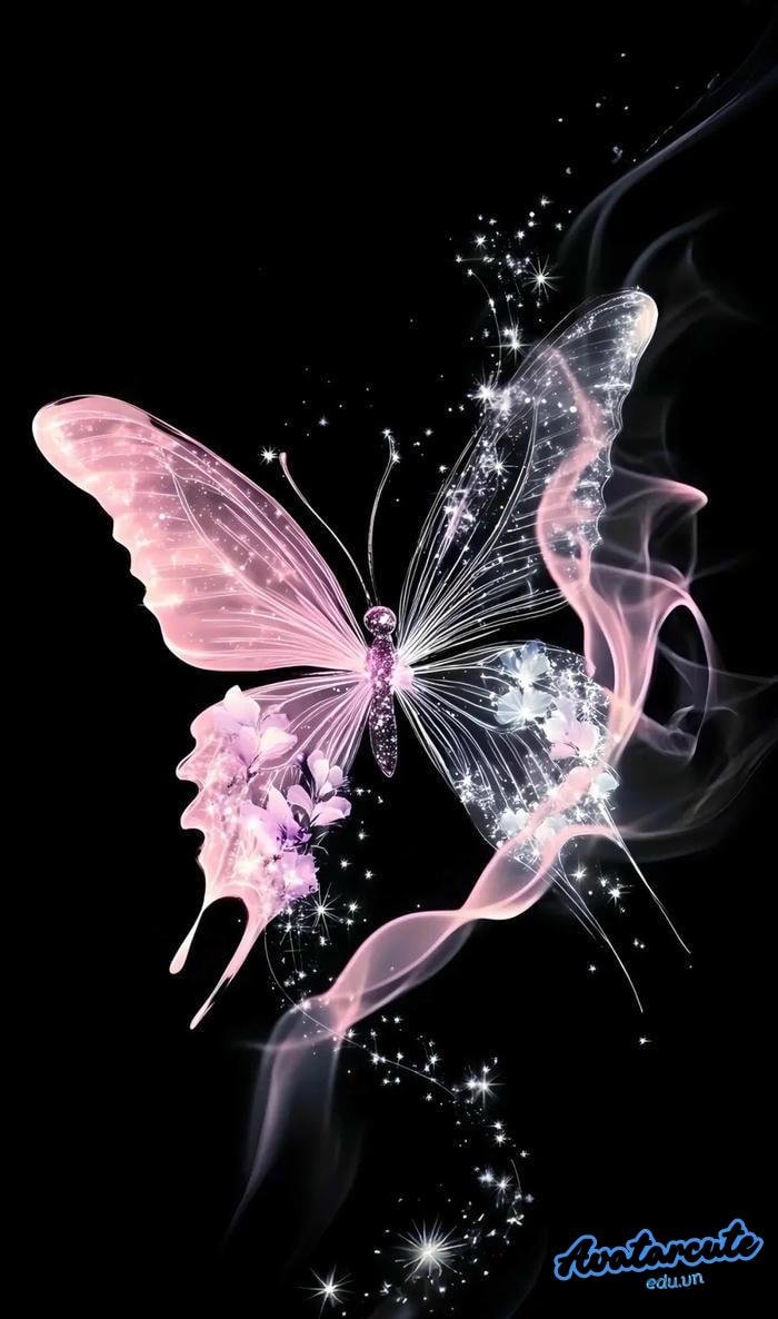 hình nền bướm đẹp nhất 4k