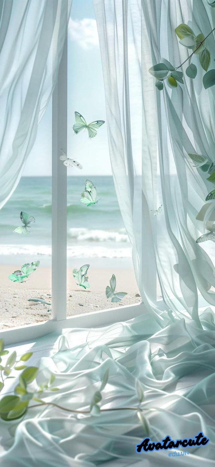 hình nền bướm đẹp