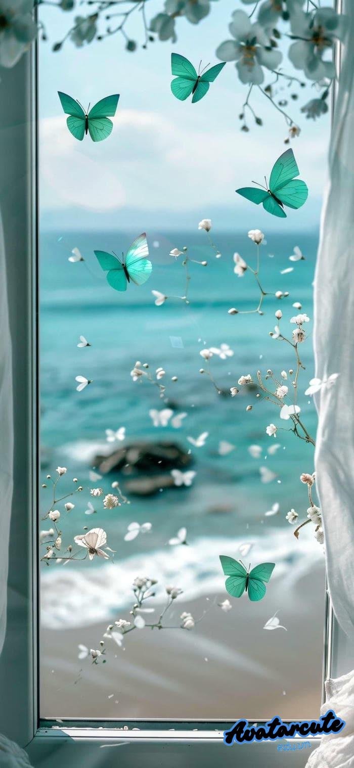 hình nền bướm full hd siêu nét