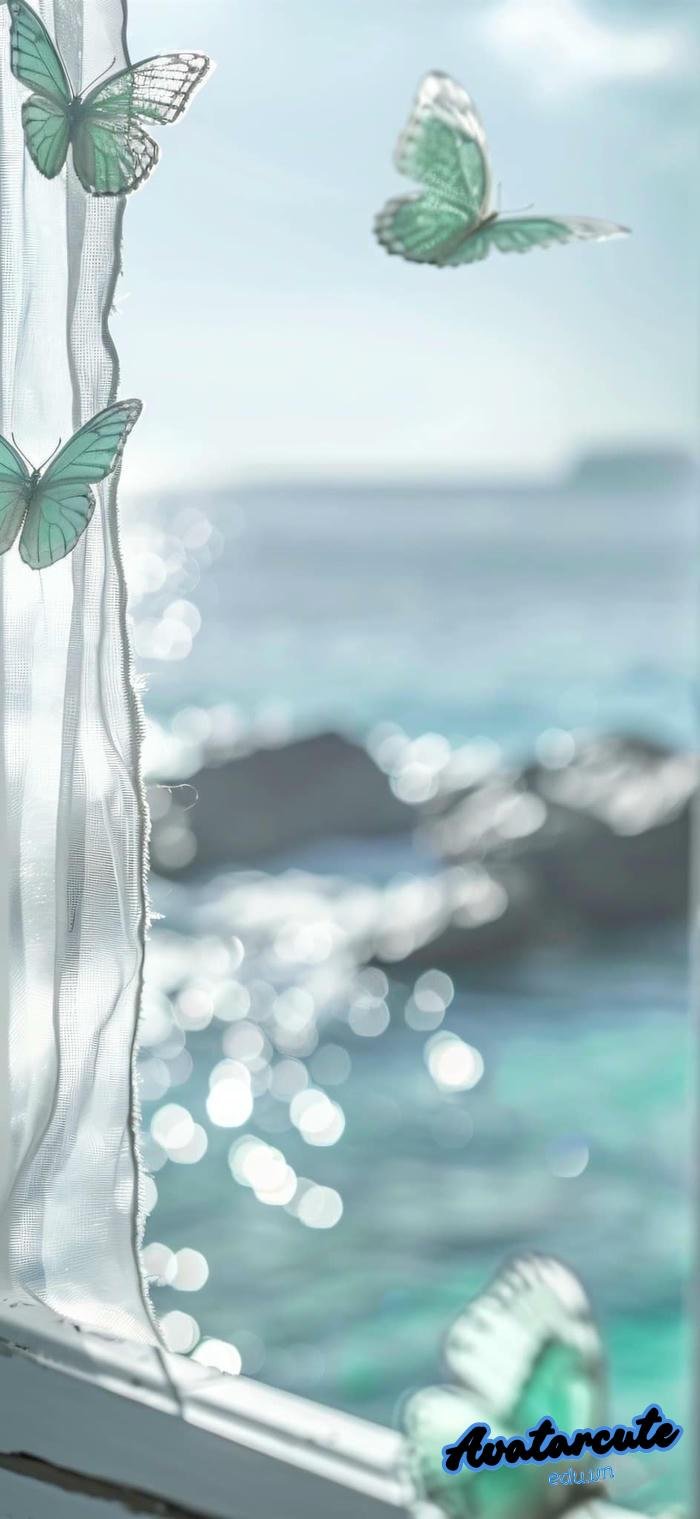 hình nền bướm siêu nét 4k