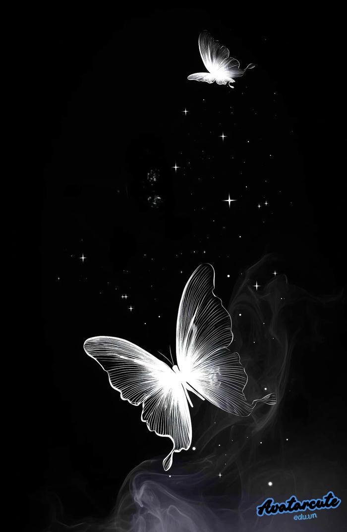 hình nền bướm xuất sắc 4k