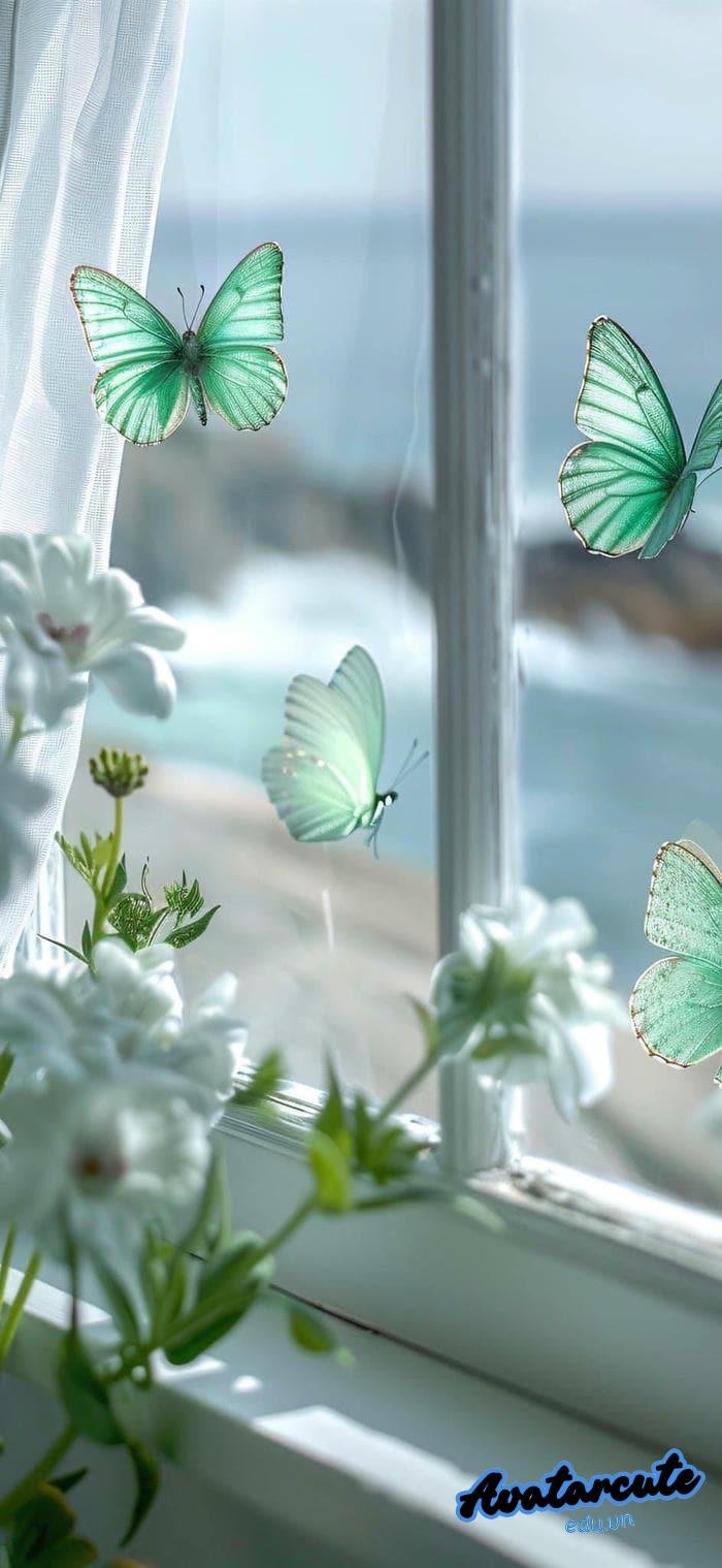 hình nền bướm