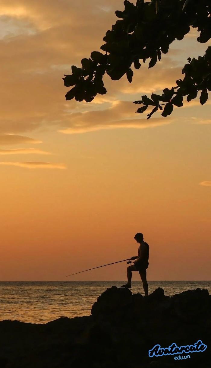 hình nền cần câu cá nghệ thuật nét