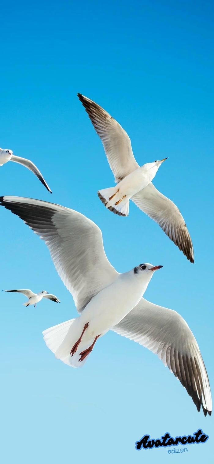 hình nền cảnh đẹp thiên nhiên chất lượng 4k