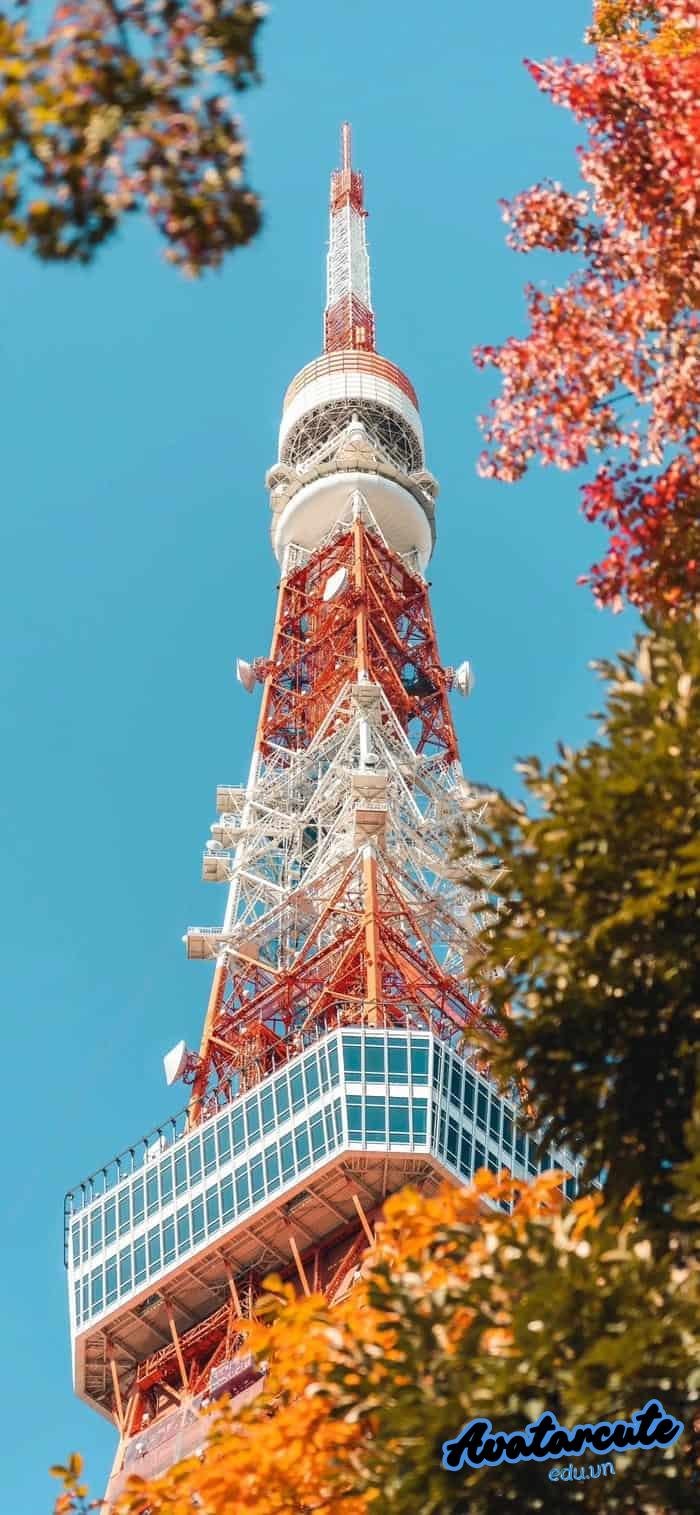 hình nền cảnh đẹp thiên nhiên chất lượng full hd