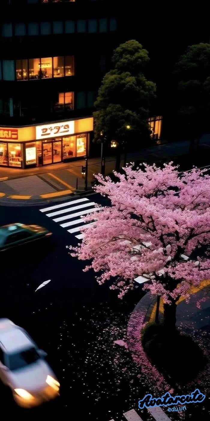 hình nền cảnh đẹp thiên nhiên chất lượng hd