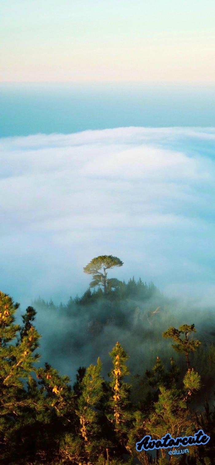 hình nền cảnh đẹp thiên nhiên đẹp nhất hd