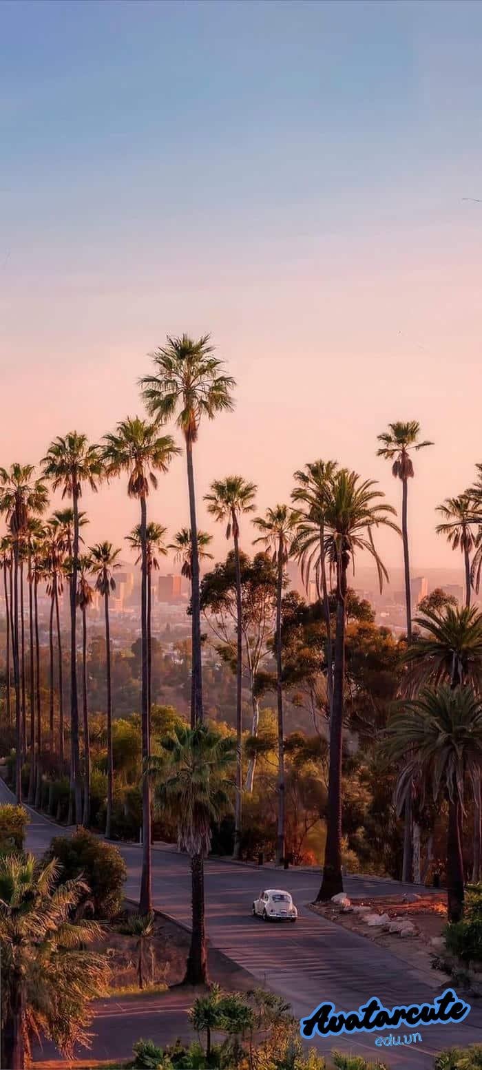 hình nền cảnh đẹp thiên nhiên full hd siêu nét