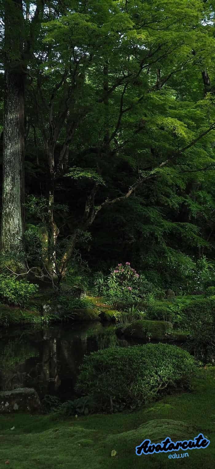 hình nền cảnh đẹp thiên nhiên full hd