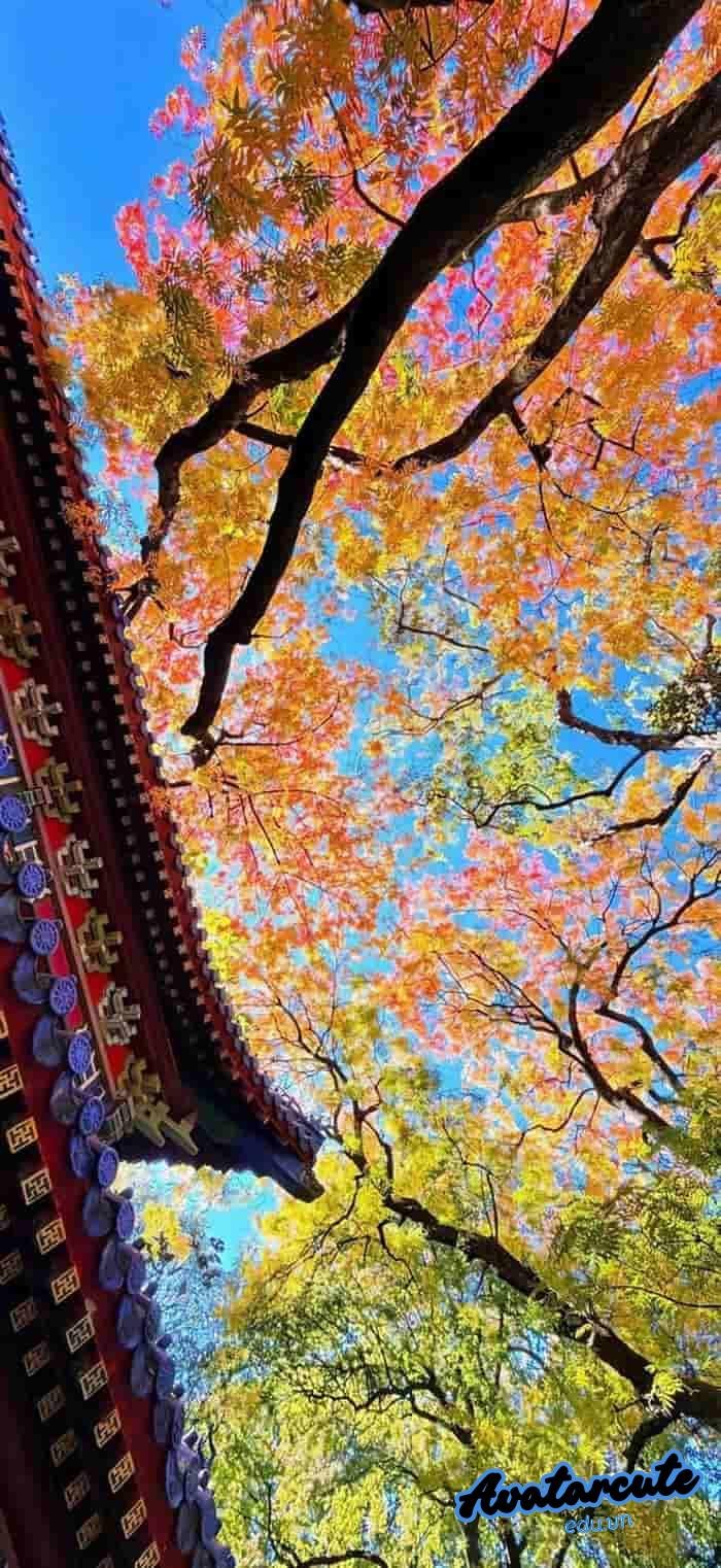 hình nền cảnh đẹp thiên nhiên hd siêu nét