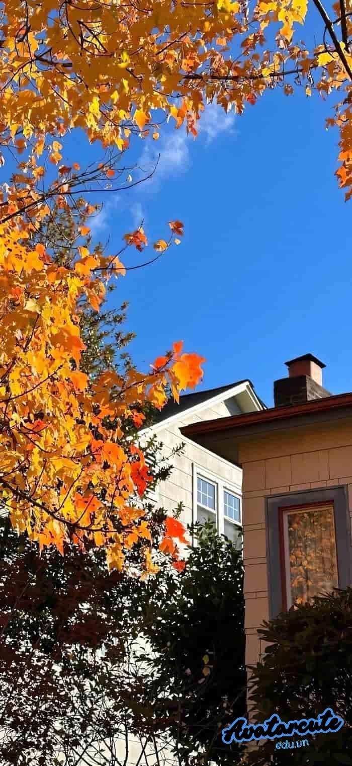 hình nền cảnh đẹp thiên nhiên nét