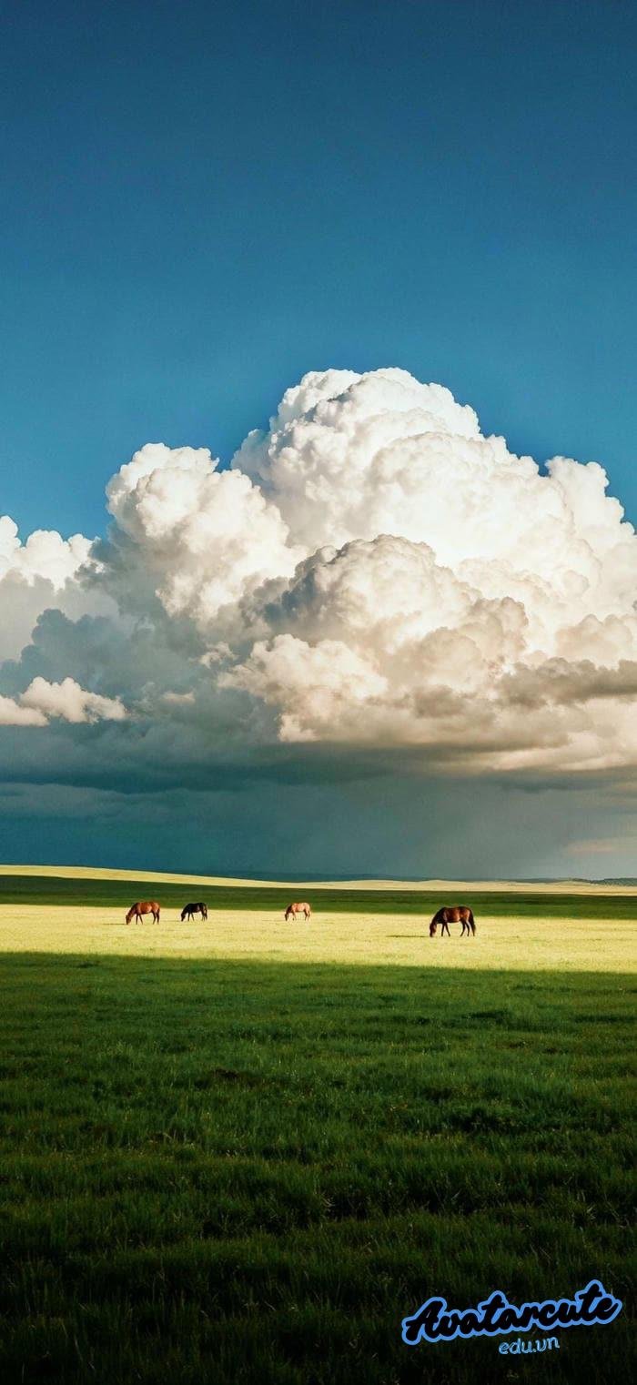 hình nền cánh đồng bình yên hd