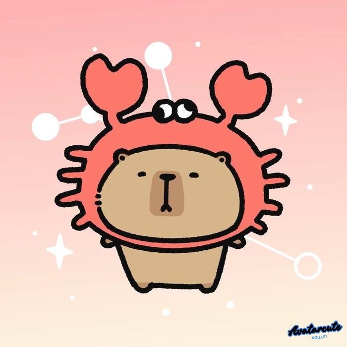 hình nền capybara cho điện thoại hd