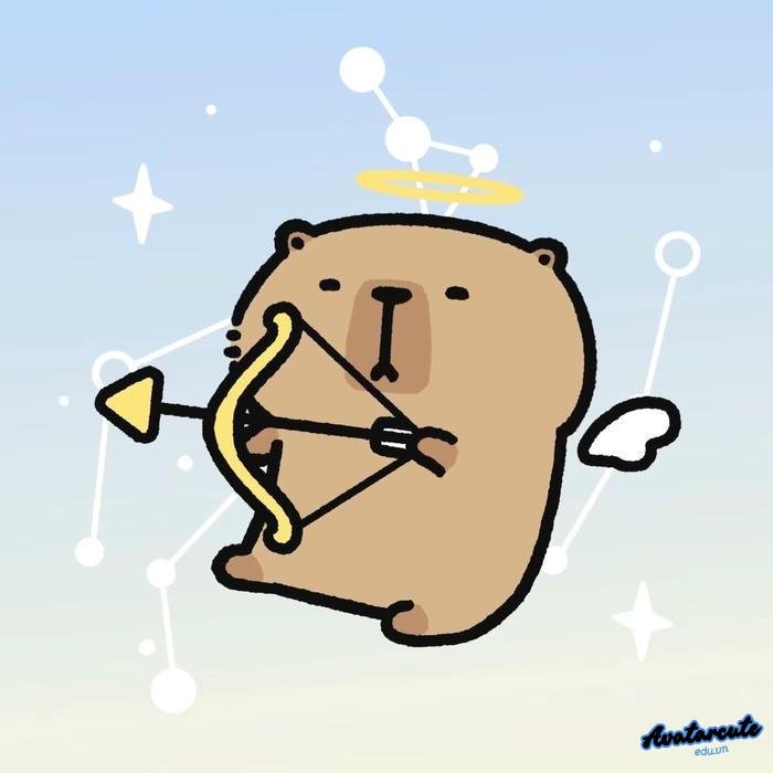 hình nền capybara đẹp 4k