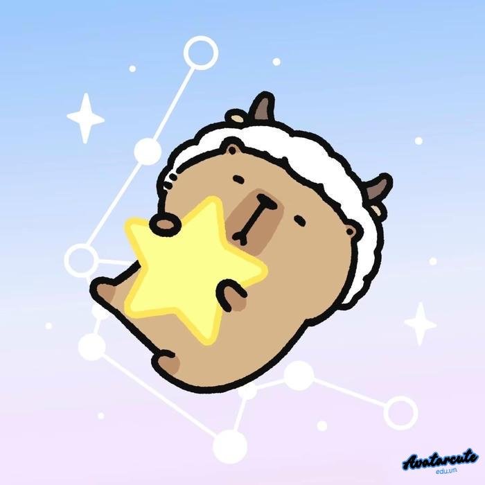 hình nền capybara đẹp hd