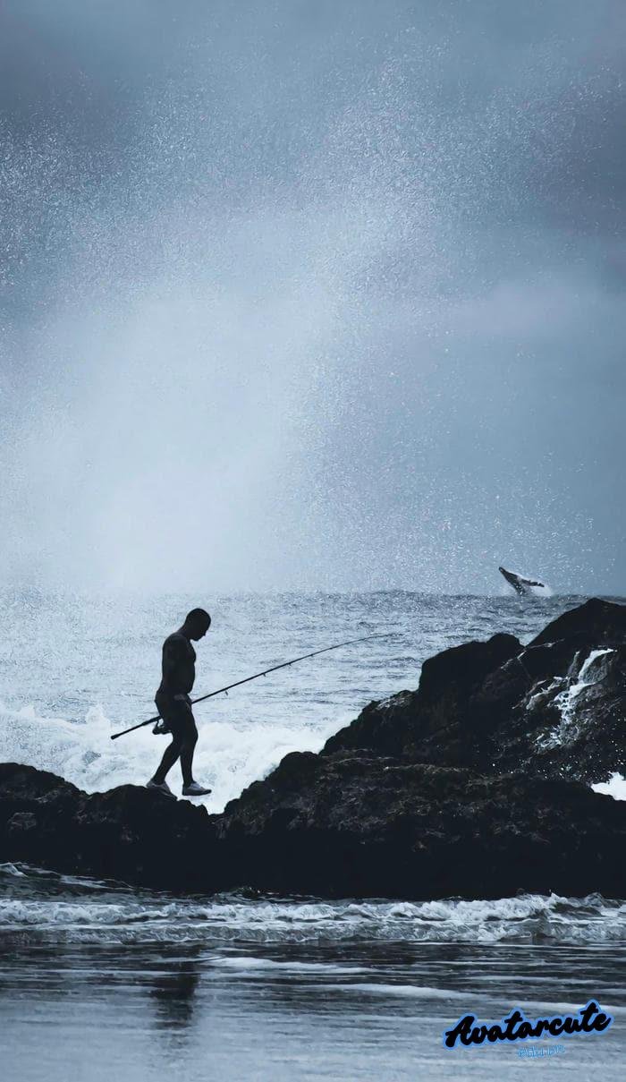 hình nền câu cá đẹp