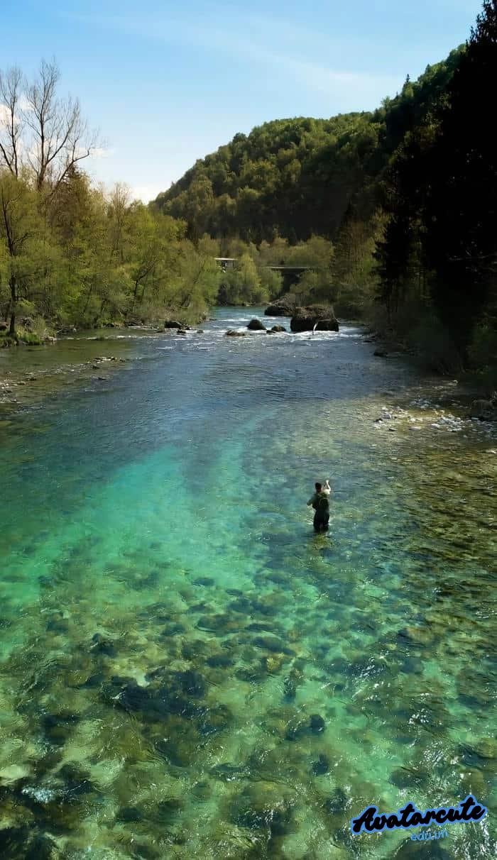 hình nền câu cá