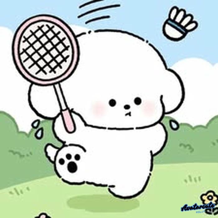 hình nền cầu lông cho máy tính 4k