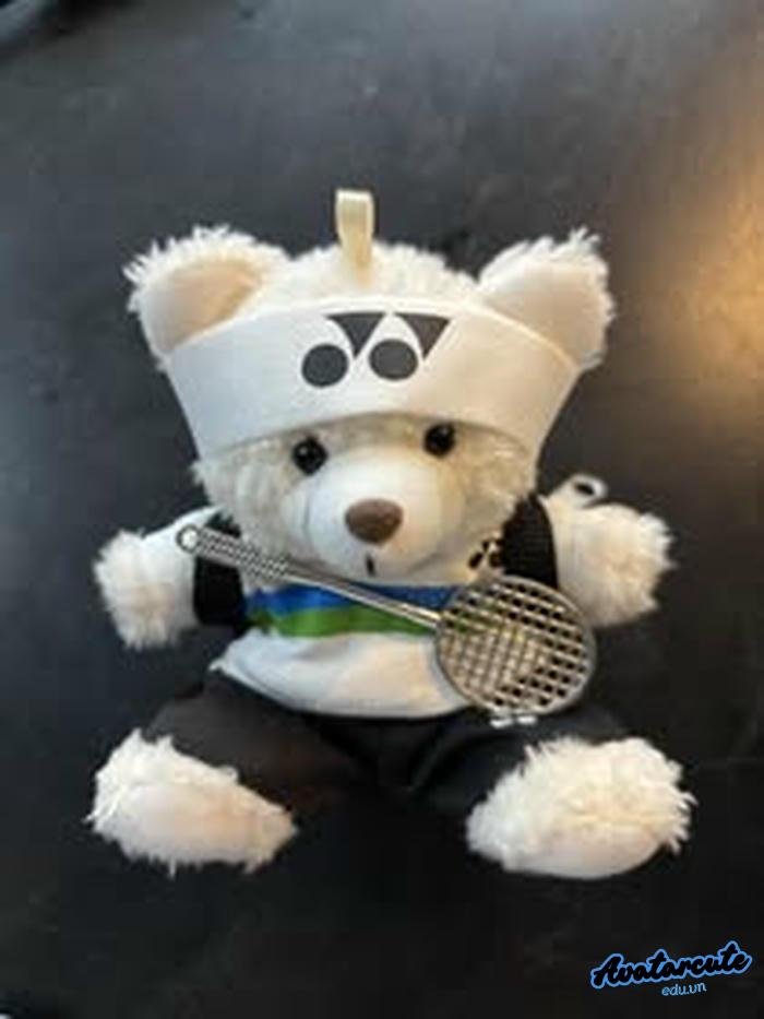 hình nền cầu lông hd