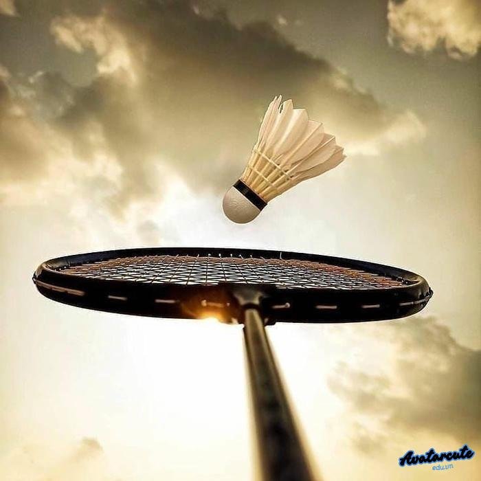 hình nền cầu lông nét