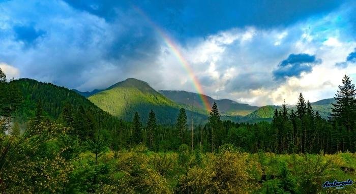 hình nền cầu vồng chất lượng hd