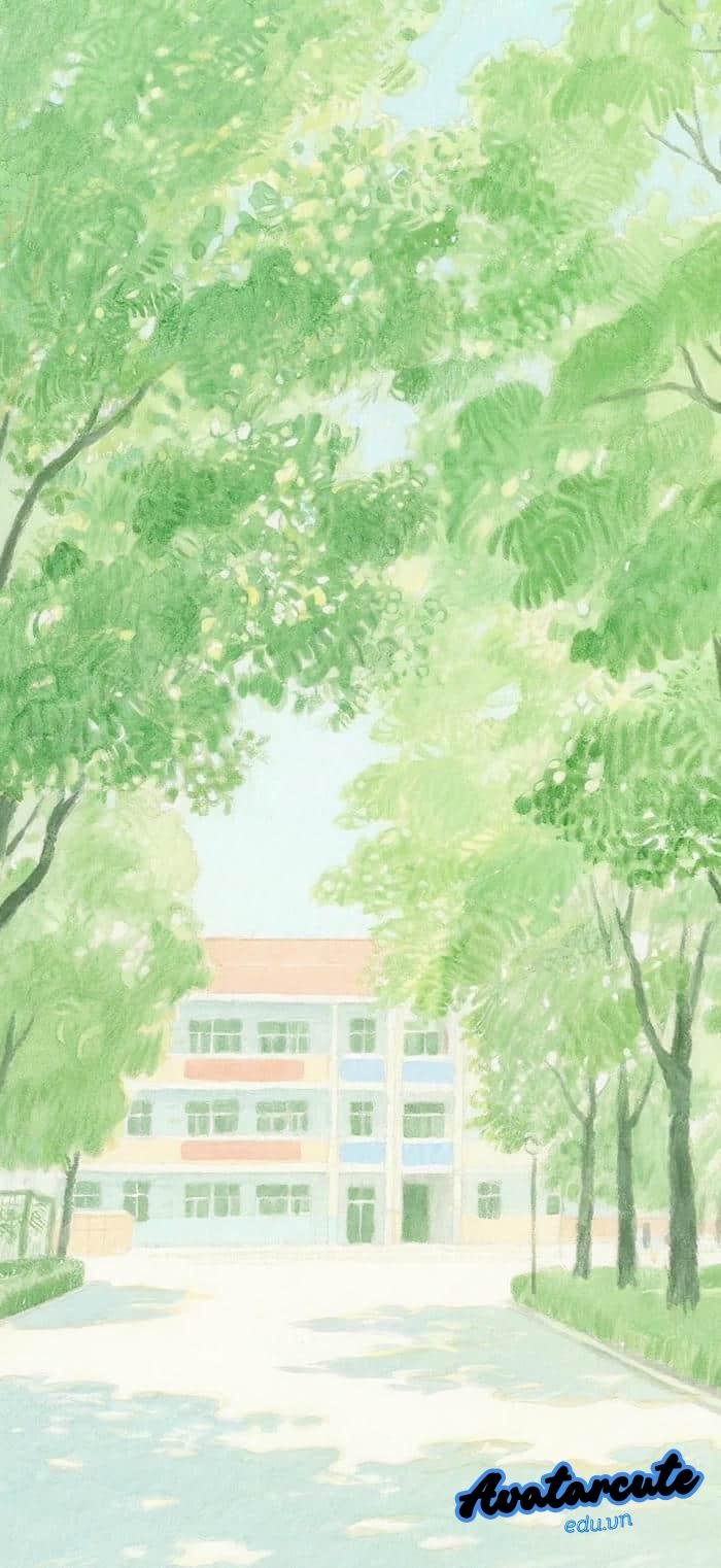 hình nền cây xanh đẹp nhất 4k