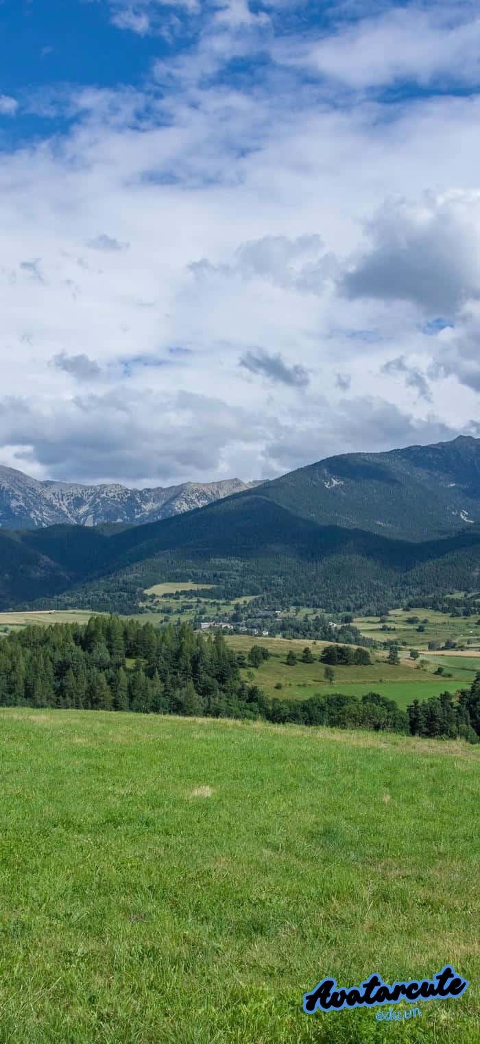 hình nền cây xanh đẹp nhất nét