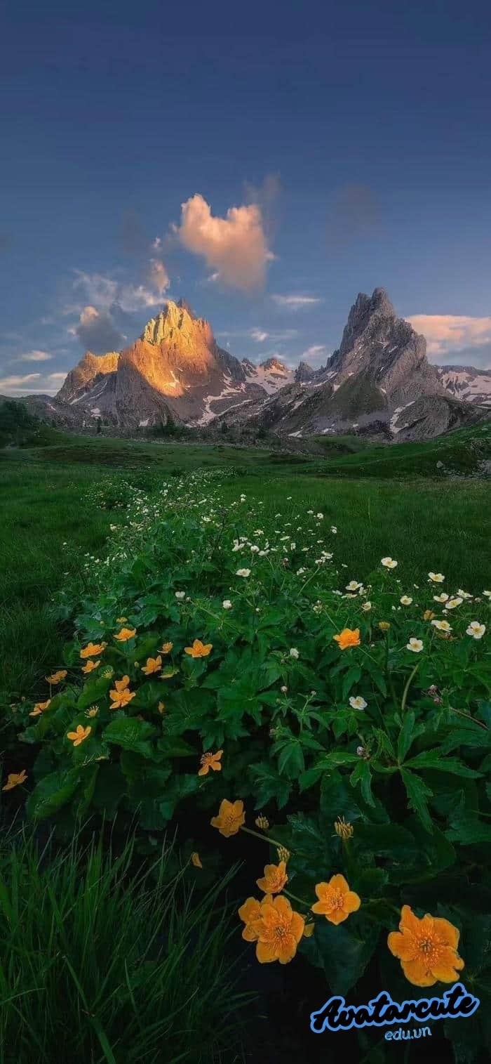 hình nền cây xanh nghệ thuật nét