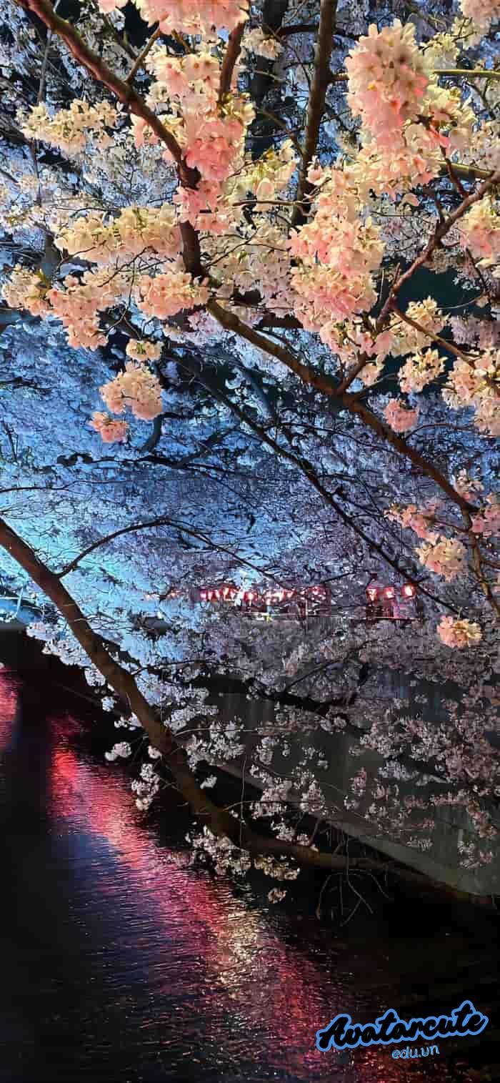 hình nền phong cảnh thiên nhiên hùng vĩ 4k