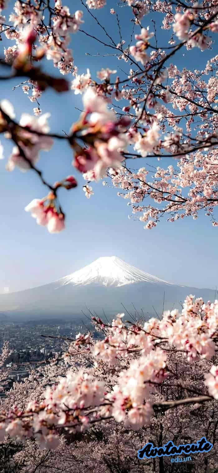 hình nền thiên nhiên cho điện thoại 4k