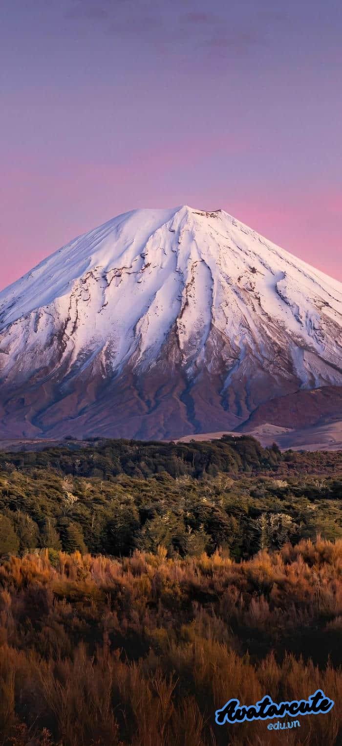 hình nền thiên nhiên cho điện thoại hd