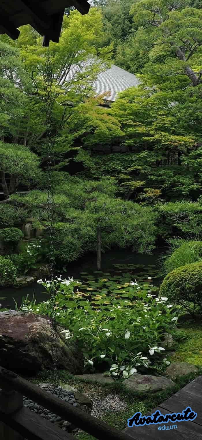 hình nền thiên nhiên cho máy tính 4k