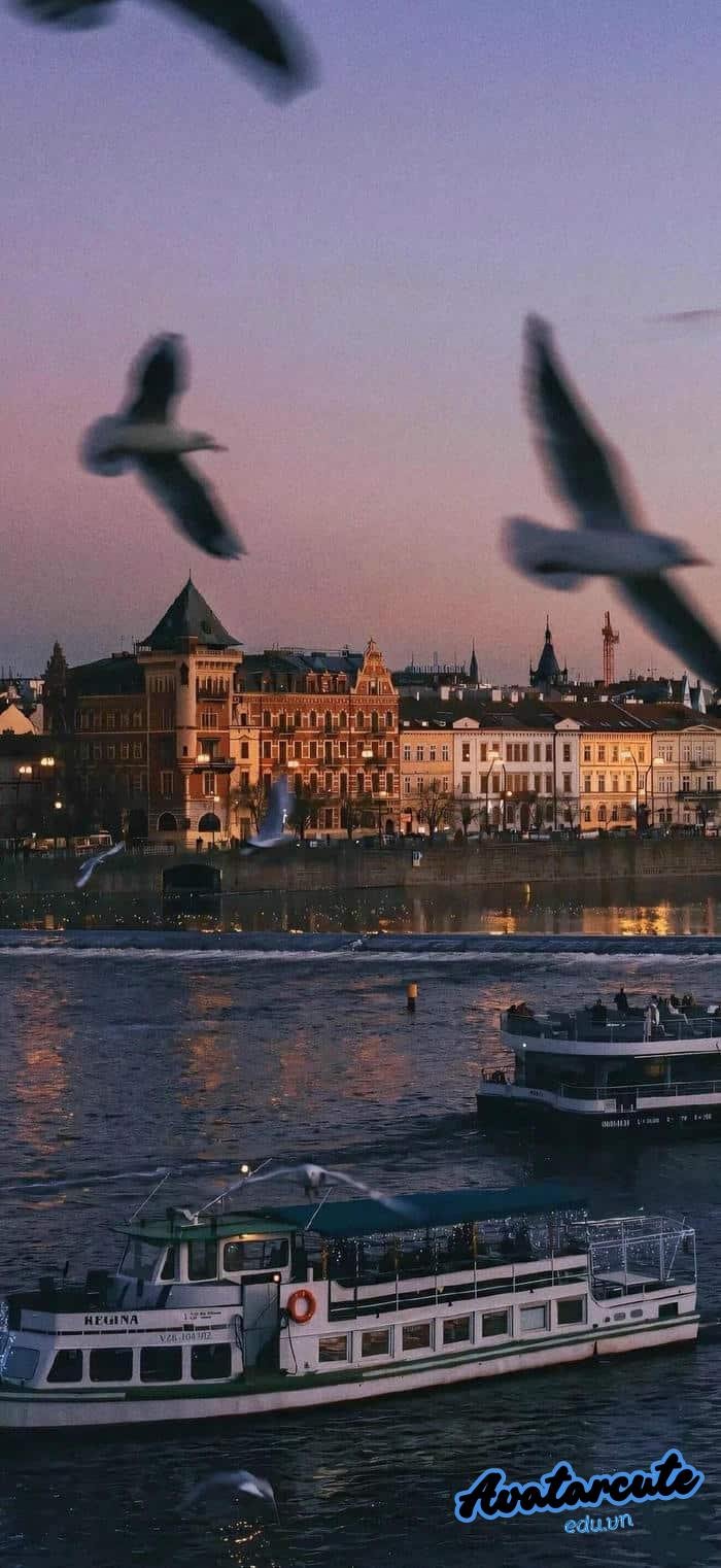 hình nền thiên nhiên rực rỡ 4k