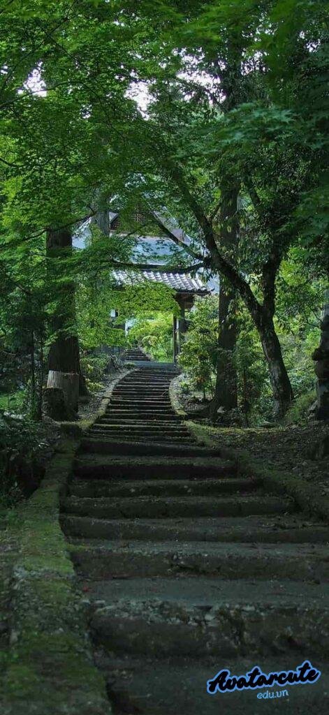 hình nền thiên nhiên xanh mát hd