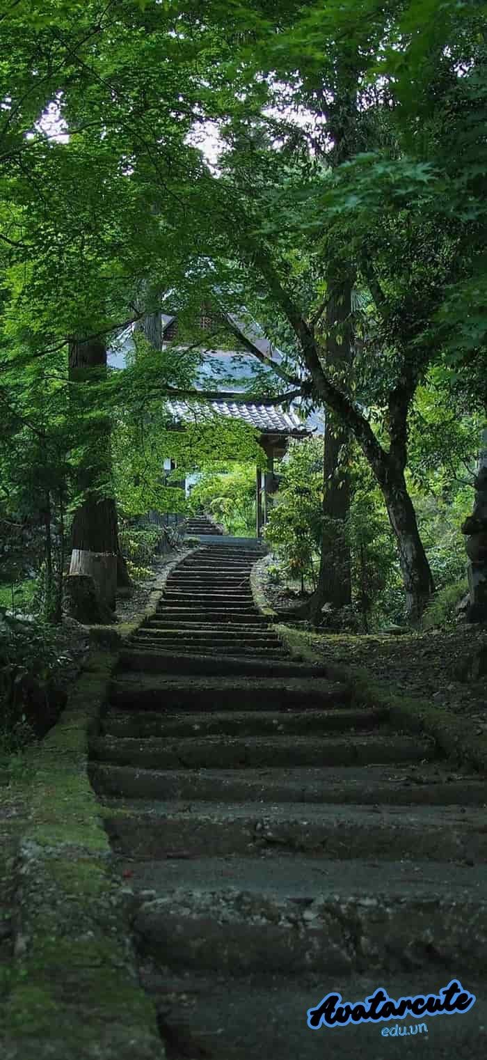 hình nền thiên nhiên xanh mát hd