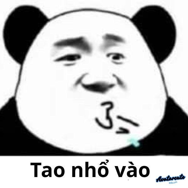 mắt gấu trúc meme