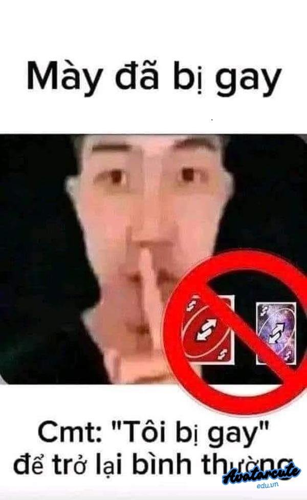 mày bị gay
