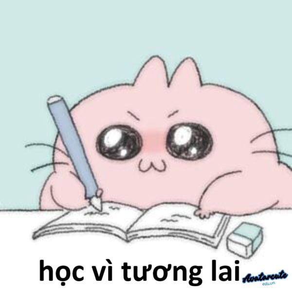 meme bài học cuộc sống